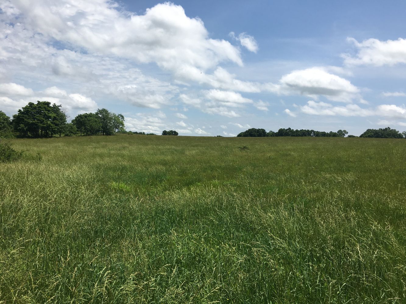 4897 & 4878 Norman Drive, Hartville, MO 65667